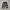 cargo camo short outdoor pants photo 2