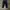 Uniqlo relax carpenter pant dark navy photo 5