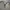 Vintage Y2K Track jacket Pria tan photo 4