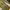 Vintage Casual Culotte Wanita yellow photo 2