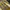 Vintage Casual Culotte Wanita Yellow