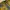Vintage Casual Culotte Wanita yellow photo 4