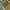 Vintage Casual Culotte Wanita yellow photo 1