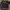 Vintage Y2K Sweatshirt Pria Purple