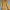 Vintage Casual Summer dress Wanita yellow photo 1