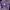 Streetwear Y2K Sweatshirt Pria purple photo 3