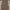 Minimalist Casual Bodycon dress Wanita tan brown photo 2