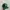 New Era Streetwear Y2K Hat Pria Multicolor Green