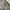 A Bathing Ape Streetwear Hoody Pria gray photo 1