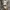 A Bathing Ape Streetwear Hoody Pria gray photo 3