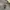 A Bathing Ape Streetwear Hoody Pria gray photo 2