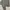 Uniqlo Streetwear Y2K Hoody Pria gray photo 3