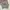 Louis Vuitton Luxury Sweatshirt Pria gray photo 1