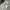 dickies cargo 595 size 38 regular straight photo 7