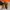 MAGNANNI GARRE DOUBLE MONK SIZE 41 photo 3
