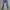 Vintage Acid Wash Jeans Style photo 2