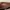 Daks Casual Handbag Wanita multicolor brown photo 6