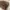 Daks Casual Handbag Wanita multicolor brown photo 5