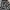 Y2K goth vkei skull aop M.K.R skirts photo 2