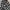 Y2K Goth Vkei Skull Aop M.K.R Skirts