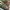 Burberry Luxury Minimalist Sneakers Kids tan black photo 4