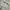 Stussy Vintage Streetwear Casual pants Pria khaki photo 2