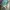 Adidas Parley Size 38 photo 3