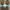 Adidas Parley Size 38 photo 6