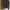 Polo Ralph Lauren Casual Gilet Wanita cream photo 1