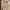Polo Ralph Lauren Casual Gilet Wanita cream photo 2