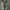 Thrift Bottega Veneta photo 2