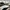 Puma Casual Sneakers Pria white black photo 2