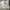 Givenchy Minimalist Casual Sneakers Kids white photo 4