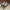 Nike Casual Sneakers Pria multicolor photo 3