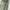 JORDAN ESSENTIALS WOVEN OLIVE PANT photo 4