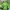 PUFFER JAKET MAGNUS GREEN photo 2
