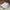 New Balance Casual Sneakers Wanita white photo 3
