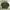 Tommy Hilfiger Sweater Casual Army