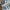 Adidas Emo Casual Sneakers Pria white gray photo 2