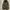 Dog House ECWCS Military Jacket