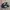 Adidas Indie Casual Sneakers Pria white black photo 1