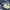 Armani	 Grunge Biker Jeans Pria white navy photo 7