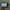 Digicam Sony DSC Cybershot W360 photo 3
