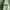Helly Hansen Vintage Streetwear Harrington jacket Pria green photo 6