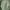 Helly Hansen Vintage Streetwear Harrington jacket Pria green photo 7