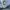 Carhartt Vintage Pria white blue photo 4