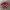 Japanese brand Streetwear Avant Garde Kimono Pria red photo 3