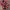 Japanese brand Streetwear Avant Garde Kimono Pria red photo 1