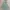 Hollister Teal Summer Spring Lace Top 