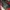 𝙔2𝙠 𝘾𝙤𝙢𝙖𝙣𝙙𝙤 𝙃𝙖𝙩!!  photo 4